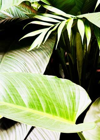 businesshub-acumatica