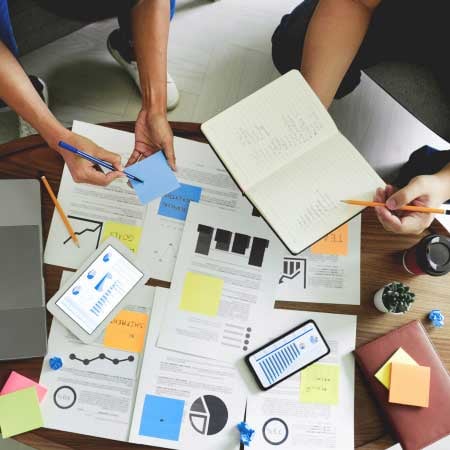 wiise-business-insight